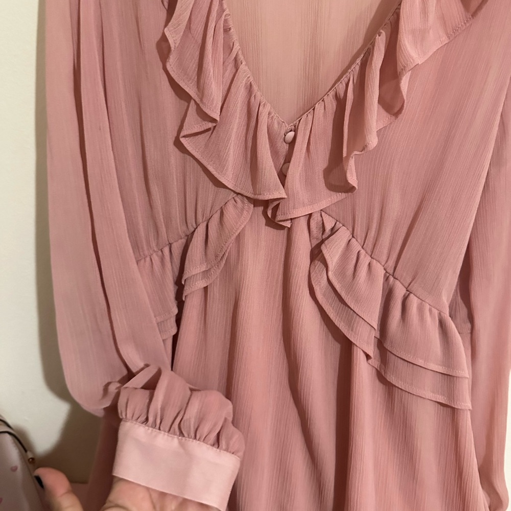 Zara Blush Long Sleeve Dress with Ruffles - Picture 4 of 4